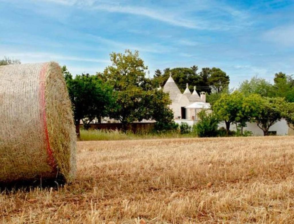 Trulli Delle Rose Villa Martina Franca Buitenkant foto